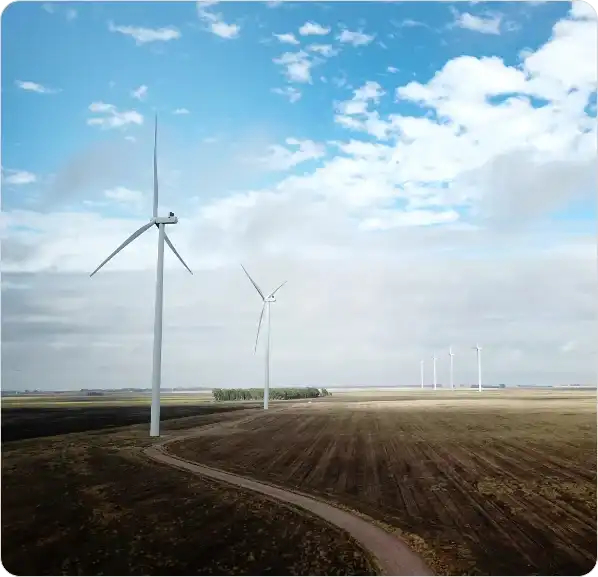 Imagen de un camino con molinos